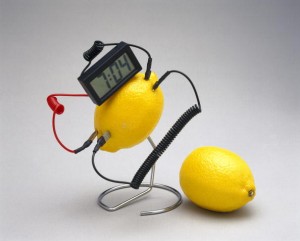 Fruit-powered clock, 1998.