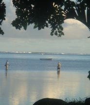 visiter ile maurice