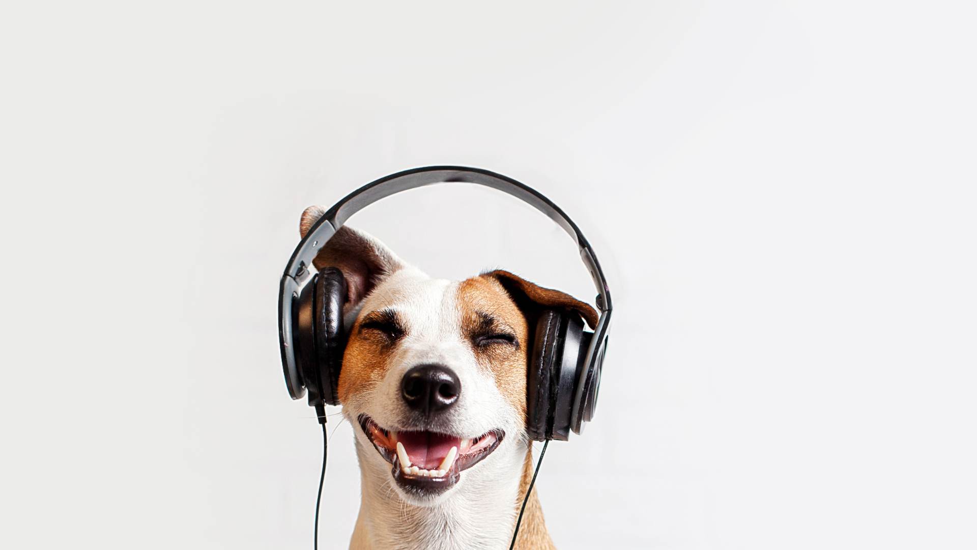Casque audio