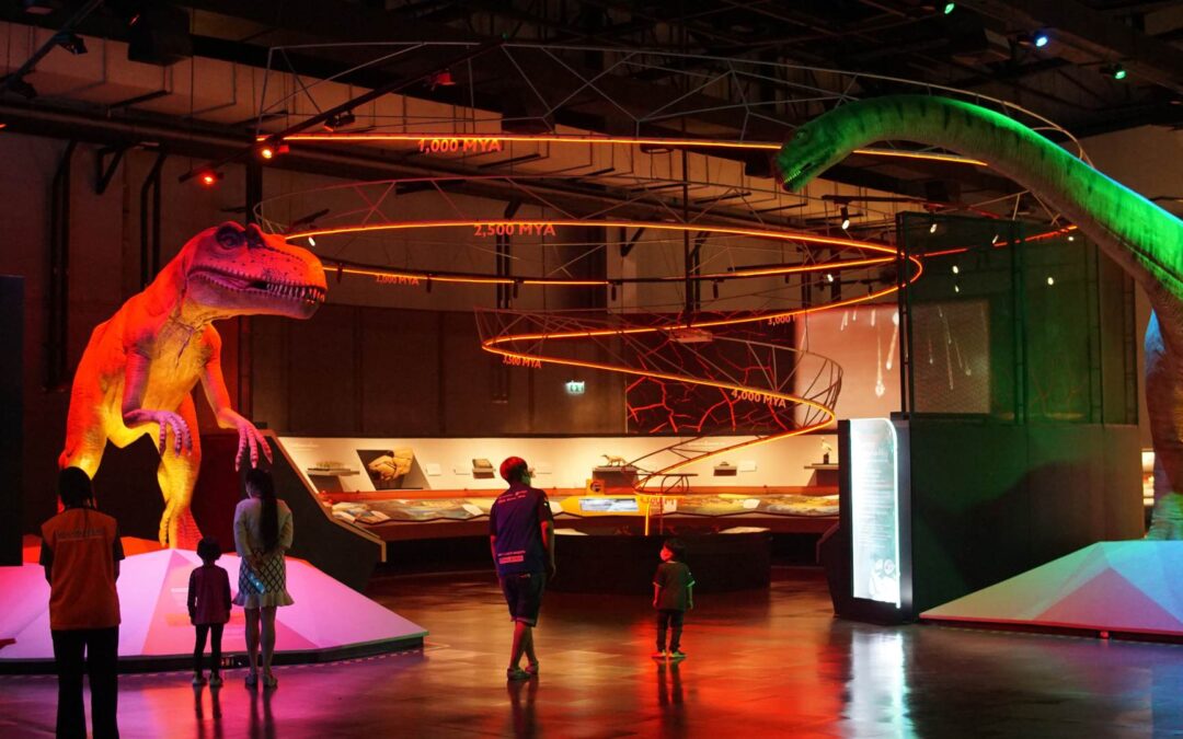 Mon avis sur l’expérience immersive des expositions numériques
